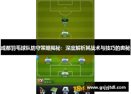 成都羽毛球队防守策略揭秘：深度解析其战术与技巧的奥秘