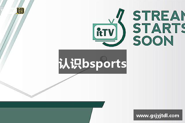 认识bsports